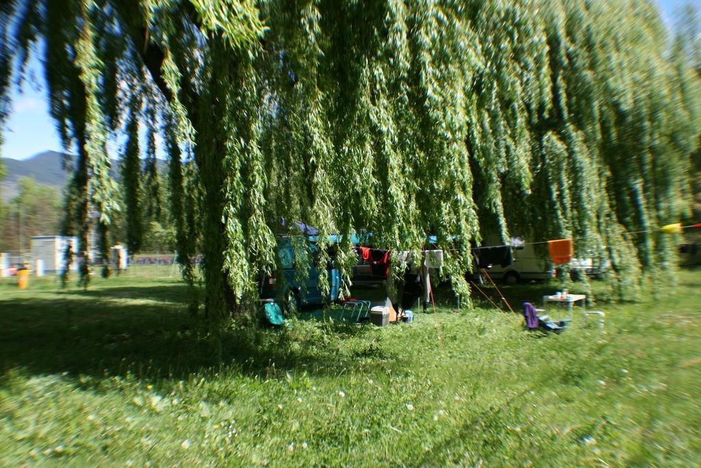Alberg Escola De Piraguisme De Сорт Экстерьер фото
